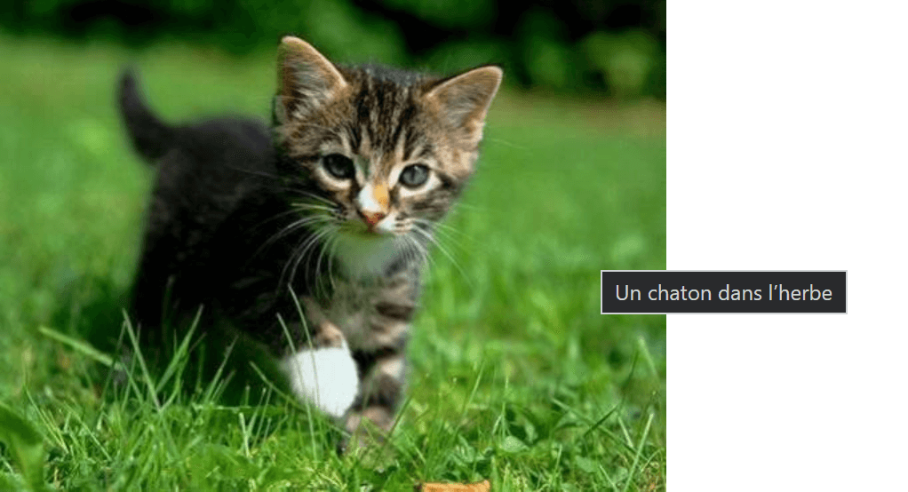Affichage de l'attribut "title" sur l'image au survol de la souris